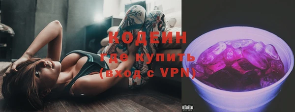 амф Новозыбков