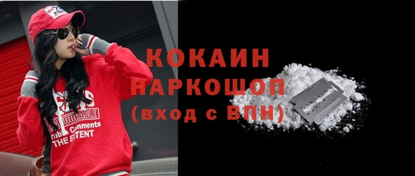 СК Дмитровск