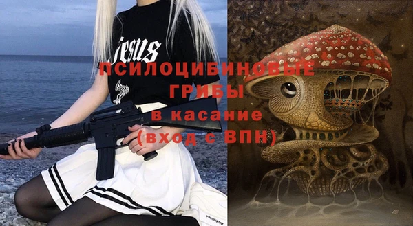 гидропоника Дмитриев