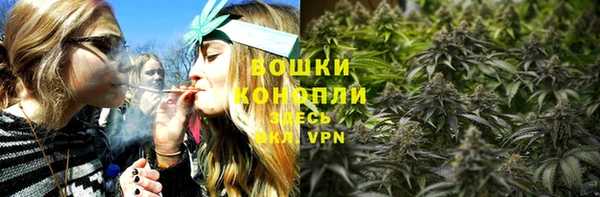 СК Дмитровск
