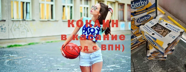 гидропоника Дмитриев